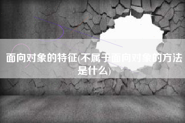 面向对象的特征(不属于面向对象的方法是什么)