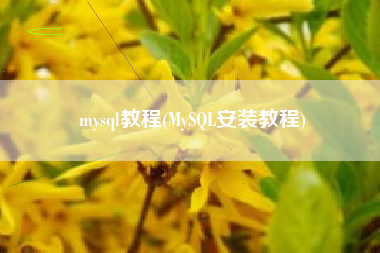 mysql教程(MySQL安装教程)