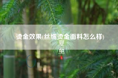 烫金效果(丝绸烫金面料怎么样)