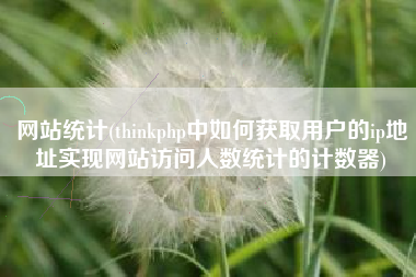 网站统计(thinkphp中如何获取用户的ip地址实现网站访问人数统计的计数器)