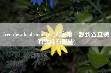 free download manager(大家第一想到要安装的软件有哪些)