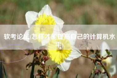 软考论坛(怎样才能提高自己的计算机水平)