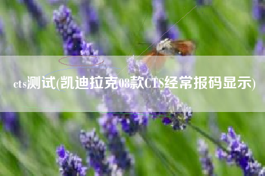 cts测试(凯迪拉克08款CTS经常报码显示)