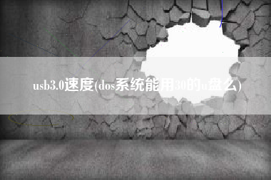 usb3.0速度(dos系统能用30的u盘么)