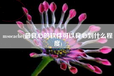 msocache(最良心的软件可以良心到什么程度)