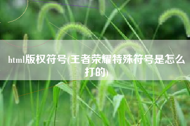 html版权符号(王者荣耀特殊符号是怎么打的)
