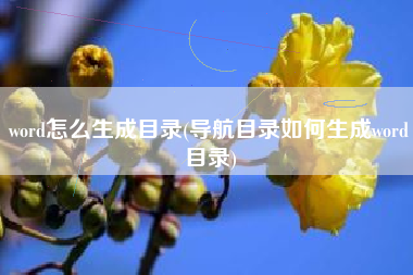 word怎么生成目录(导航目录如何生成word目录)
