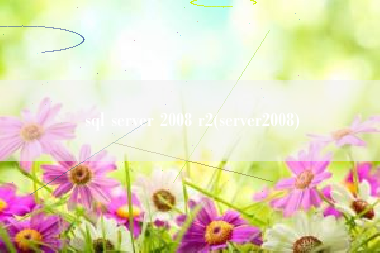 sql server 2008 r2(server2008)