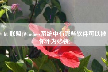 bt 联盟(Windows系统中有哪些软件可以被你评为必装)