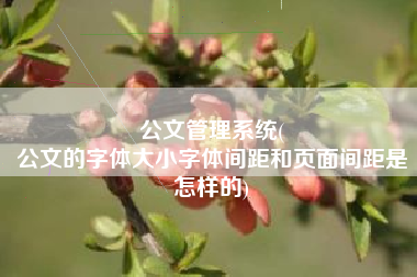 公文管理系统(
公文的字体大小字体间距和页面间距是怎样的) 公文管理系统(
公文的字体大小字体间距和页面间距是怎样的)