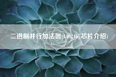 二进制并行加法器(14024bg芯片介绍)
