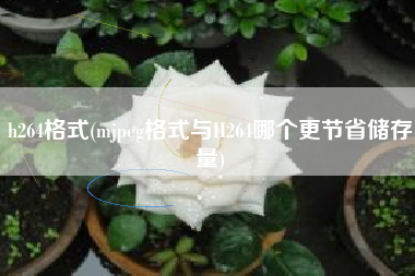 h264格式(mjpeg格式与H264哪个更节省储存量)