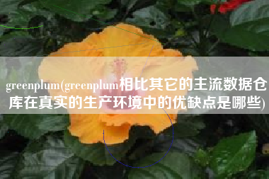 greenplum(greenplum相比其它的主流数据仓库在真实的生产环境中的优缺点是哪些)