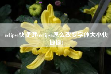 eclipse快捷键(eclipse怎么改变字体大小快捷键)