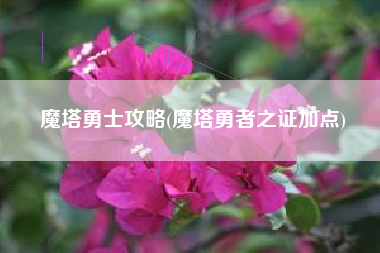 魔塔勇士攻略(魔塔勇者之证加点)