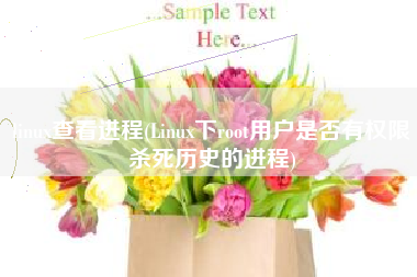 linux查看进程(Linux下root用户是否有权限杀死历史的进程)