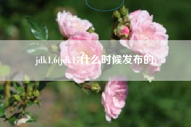 jdk1.6(jdk17什么时候发布的)