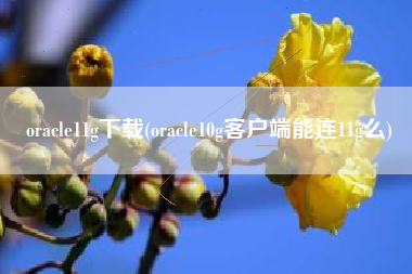 oracle11g下载(oracle10g客户端能连11g么)