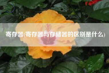 寄存器(寄存器与存储器的区别是什么)