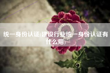 统一身份认证(建设行业统一身份认证有什么用)