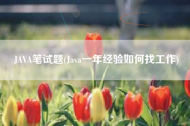 JAVA笔试题(Java一年经验如何找工作)