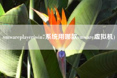 vmwareplayer(win7系统用哪款vmware虚拟机)