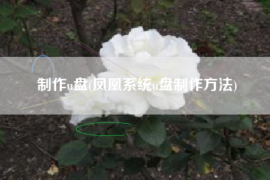 制作u盘(凤凰系统u盘制作方法)