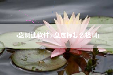u盘测速软件(u盘虚标怎么检测)