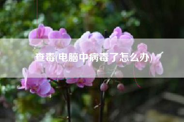 查毒(电脑中病毒了怎么办)