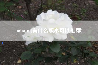 mint ui(有什么版本可以推荐)