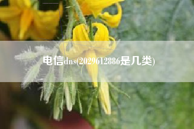 电信dns(2029612886是几类)