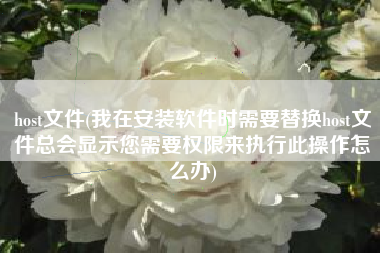 host文件(我在安装软件时需要替换host文件总会显示您需要权限来执行此操作怎么办)