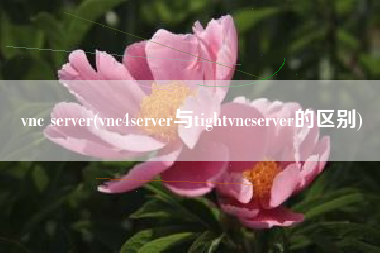 vnc server(vnc4server与tightvncserver的区别)