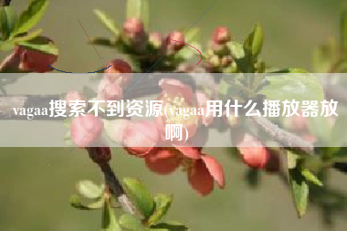 vagaa搜索不到资源(vagaa用什么播放器放啊)