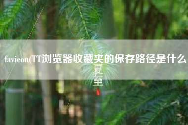 favicon(TT浏览器收藏夹的保存路径是什么)
