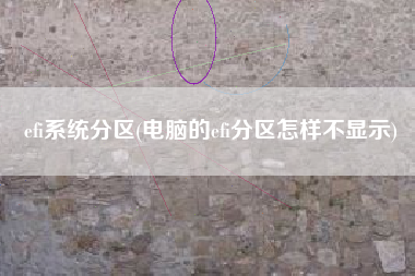 efi系统分区(电脑的efi分区怎样不显示)