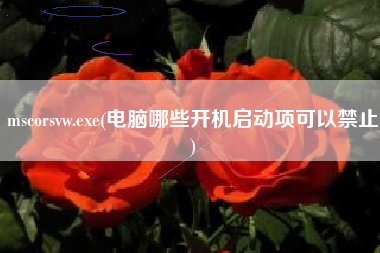 mscorsvw.exe(电脑哪些开机启动项可以禁止)