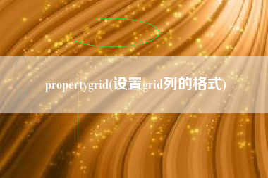 propertygrid(设置grid列的格式)