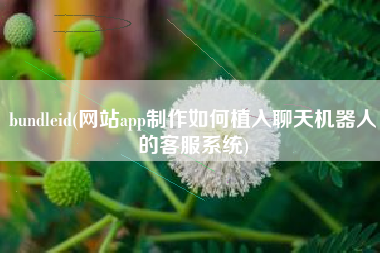 bundleid(网站app制作如何植入聊天机器人的客服系统)