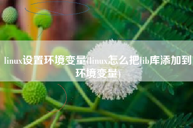 linux设置环境变量(linux怎么把lib库添加到环境变量)