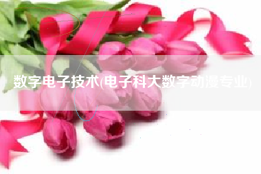 数字电子技术(电子科大数字动漫专业)