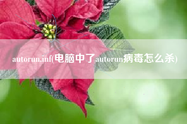 autorun.inf(电脑中了autorun病毒怎么杀)