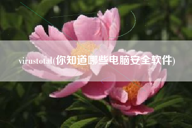 virustotal(你知道哪些电脑安全软件)