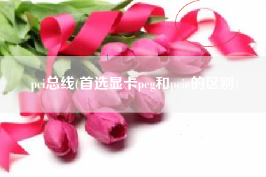pci总线(首选显卡peg和pcie的区别)