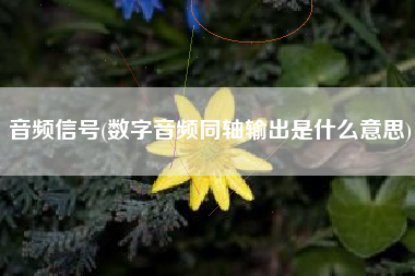 音频信号(数字音频同轴输出是什么意思)