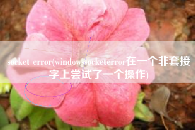 socket error(windowssocketerror在一个非套接字上尝试了一个操作)
