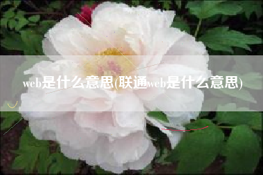 web是什么意思(联通web是什么意思)