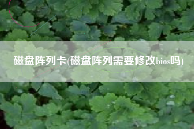 磁盘阵列卡(磁盘阵列需要修改bios吗)