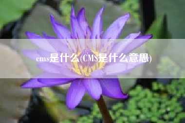 cms是什么(CMS是什么意思)
