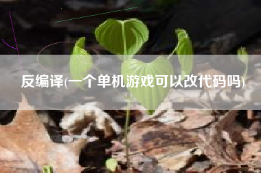 反编译(一个单机游戏可以改代码吗)